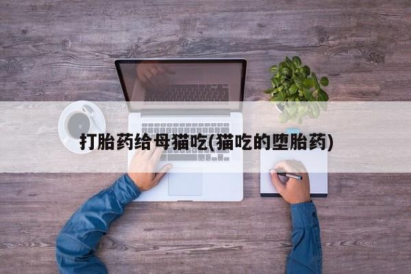 米非司酮片药店可以买吗打胎药给母猫吃(猫吃的堕胎药)